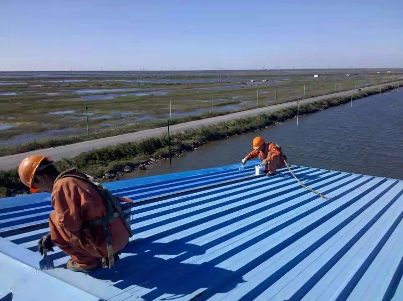 猇亭钢结构屋面漏水原因